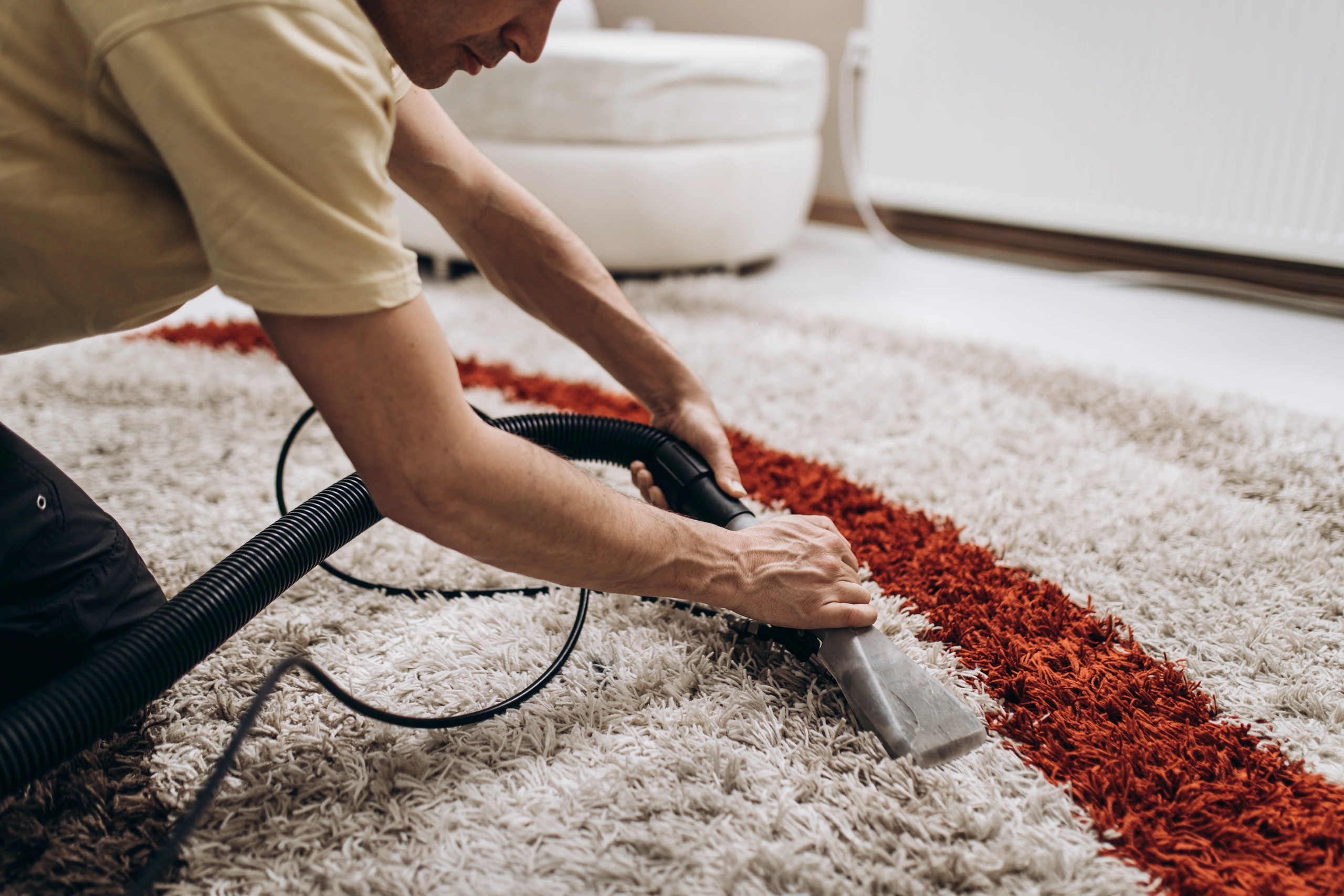 Carpet, Ceiling, Floors & Walls