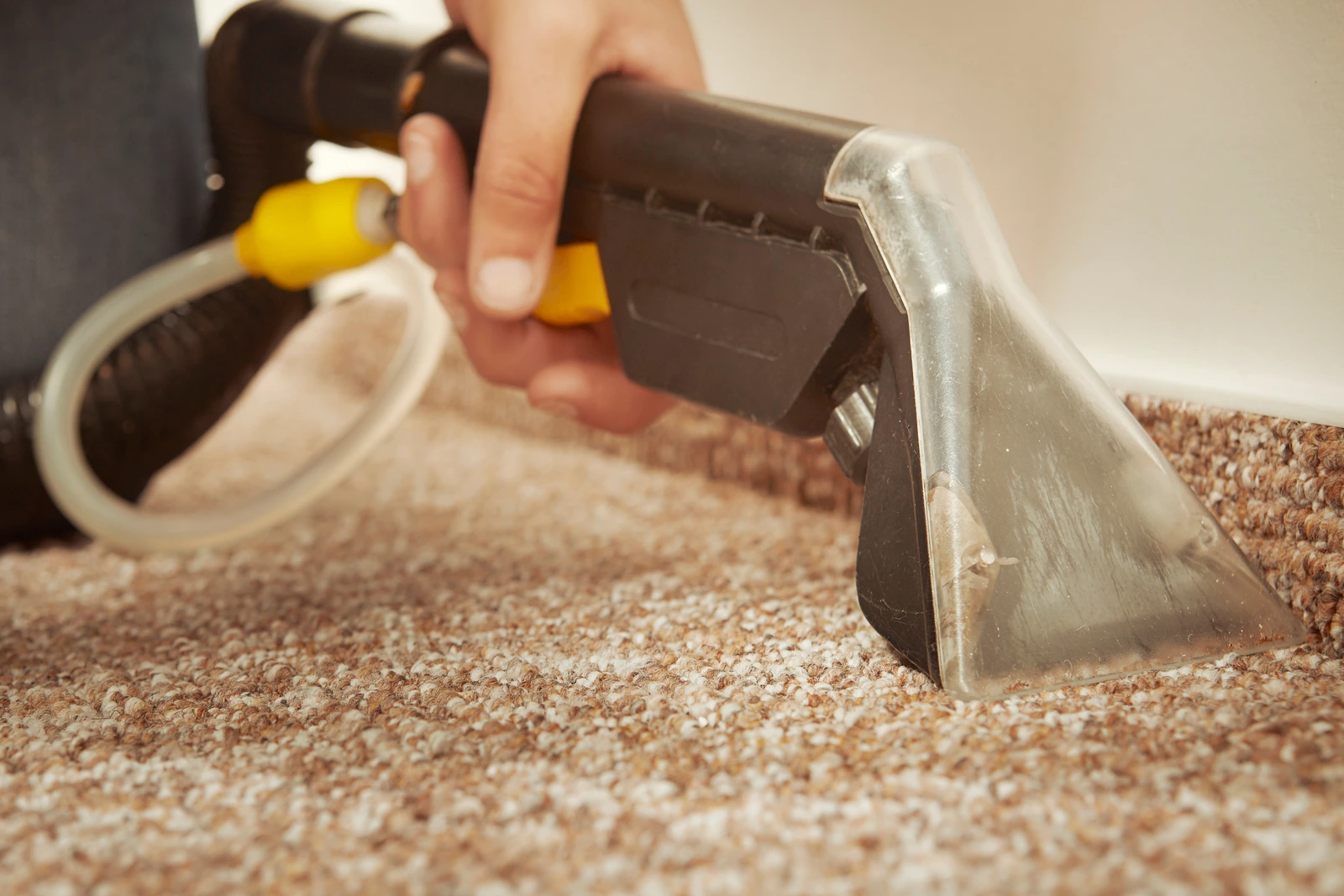 Carpet, Ceiling, Floors & Walls challenge